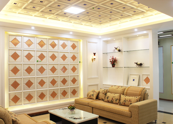 Interior Decorative Ceiling Panels Artistic for Living Room , SGS Test